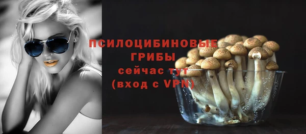 СК Арсеньев
