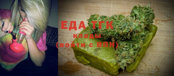 индика Дмитровск